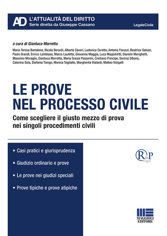 Le prove nel processo civile. Come scegliere il giusto mezzo di prova nei singoli procedimenti civili - copertina