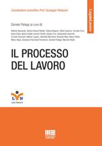 Il processo del lavoro