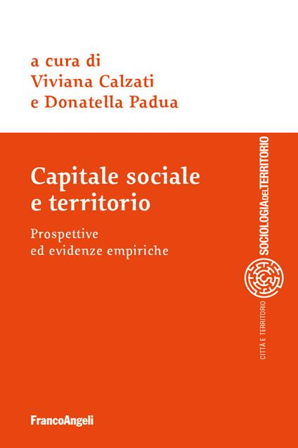 Capitale sociale e territorio. Prospettive ed evidenze empiriche - Viviana Calzati,Donatella Padua - ebook