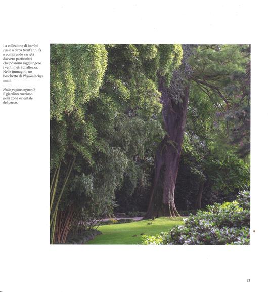 I giardini delle Isole Borromee. Ediz. a colori - Lucia Impelluso,Dario Fusaro - 5