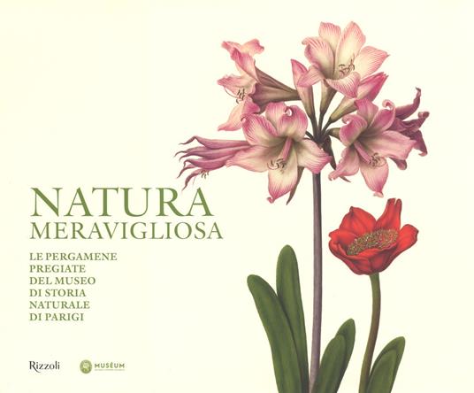 Natura meravigliosa. Le pergamene pregiate del Museo di storia naturale di Parigi. Ediz. a colori - copertina