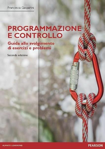 Programmazione e controllo. Guida alla soluzione di esercizi e problemi - Francesca Gasparini - copertina