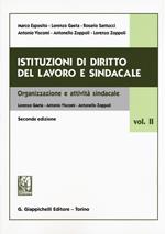 Istituzioni di diritto del lavoro e sindacale. Vol. 2: Organizzazione e attività sindacale.