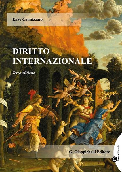 Diritto internazionale. Con aggiornamento online - Enzo Cannizzaro - copertina