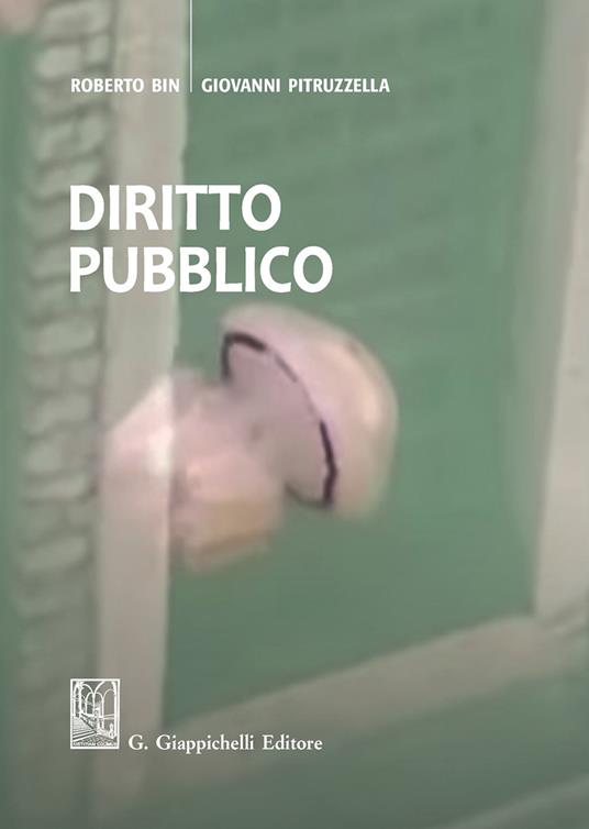 Diritto pubblico - Roberto Bin,Giovanni Pitruzzella - copertina