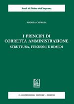 I principi di corretta amministrazione. Struttura, funzioni e rimedi