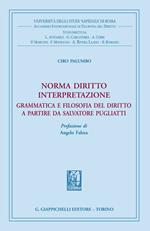 Norma diritto interpretazione. Grammatica e filosofia del diritto a partire da Salvatore Pugliatti