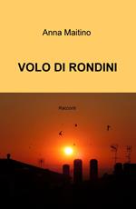 Volo di rondini