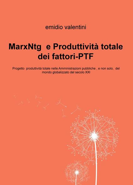 MarxNtg e produttività totale dei fattori-PTF. Progetto produttività totale nelle amministrazioni pubbliche, e non solo, del mondo globalizzato del secolo XXI - Emidio Valentini - copertina