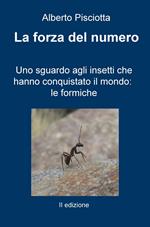 La forza del numero. Uno sguardo agli insetti che hanno conquistato il mondo: le formiche