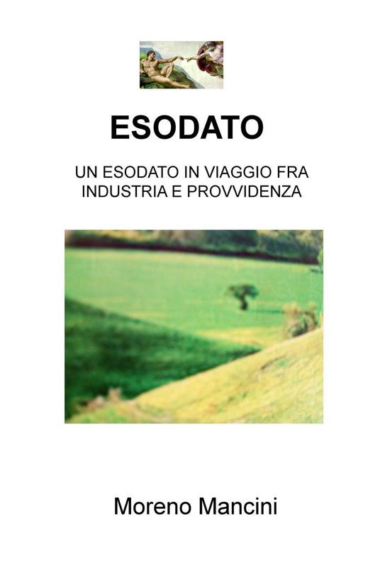 Esodato. Un esodato in viaggio fra industria e provvidenza - Moreno Mancini - copertina