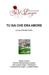  Tu sai che era amore - image