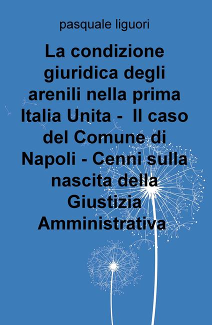 La condizione giuridica degli arenili nella prima Italia unita. Il caso del Comune di Napoli. Cenni sulla nascita della giustizia amministrativa - Pasquale Liguori - copertina