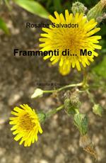 Frammenti di... me. Raccolta di emozioni