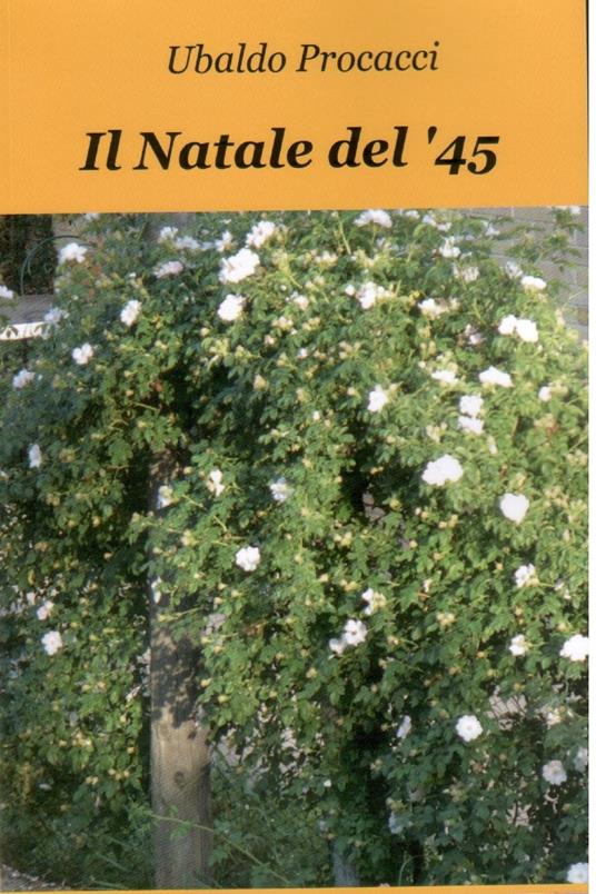 Il Natale del '45 - Ubaldo Procacci - ebook