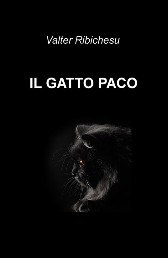 Il gatto Paco - Valter Ribichesu - copertina