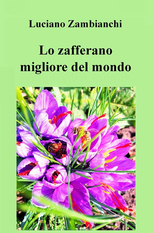 Lo zafferano migliore del mondo. Parola di chef Remy - Luciano Zambianchi - copertina