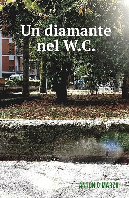 Un diamante nel W.C. - Antonio Marzo - copertina