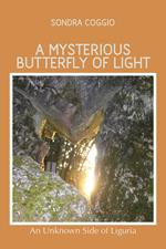 A mysterious butterfly of light