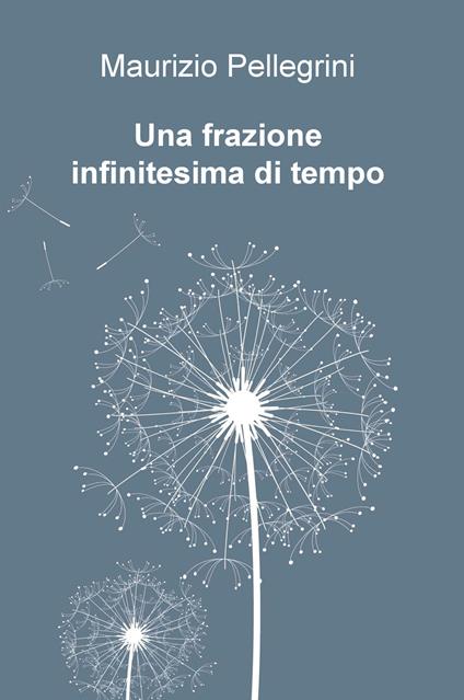 Una frazione infinitesima di tempo - Maurizio Pellegrini - copertina