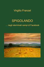 Spigolando... negli sterminati campi di Facebook