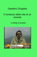 Il romanzo della vita di un errante e sillogi di poesie