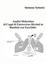 Analisi molecolare di ceppi di enterovirus rivelati in bambini con encefalite