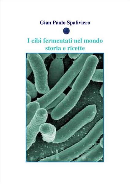 I cibi fermentati nel mondo. Storia e ricette - Gian Paolo Spaliviero - ebook