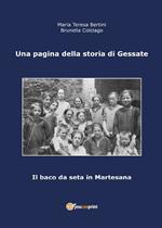 Una pagina della storia di Gessate. Il baco da seta in Martesana