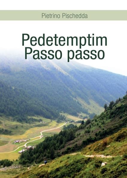 Pedetemptim. Passo passo - Pietrino Pischedda - copertina