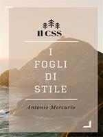 I fondamentali del CSS con accenni al CSS3