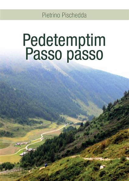 Pedetemptim. Passo passo - Pietrino Pischedda - ebook