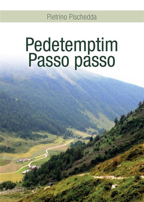 Pedetemptim. Passo passo - Pietrino Pischedda - ebook