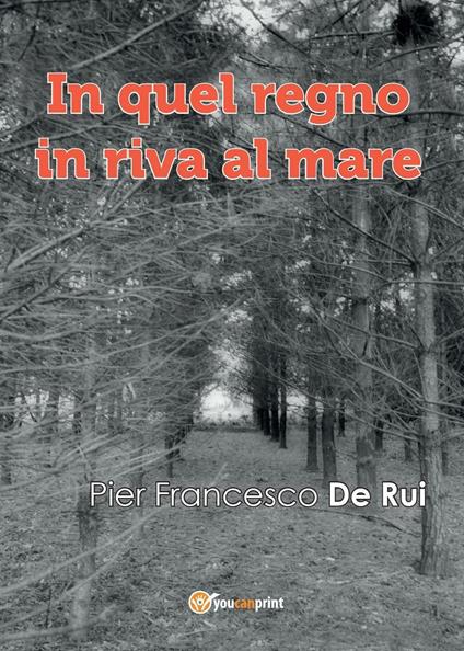 In quel regno in riva al mare - Pier Francesco De Rui - copertina