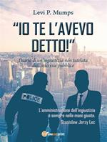 «Io te l'avevo detto!». Diario di un ingiustizia non tutelata dall'interesse pubblico