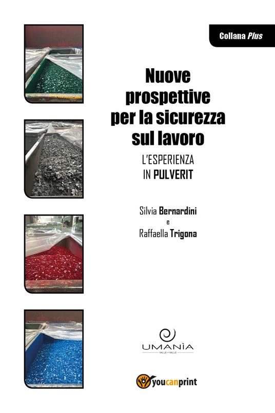 Nuove prospettive per la sicurezza sul lavoro. L'esperienza in Pulverit - Raffaella Trigona,Silvia Bernardini - copertina