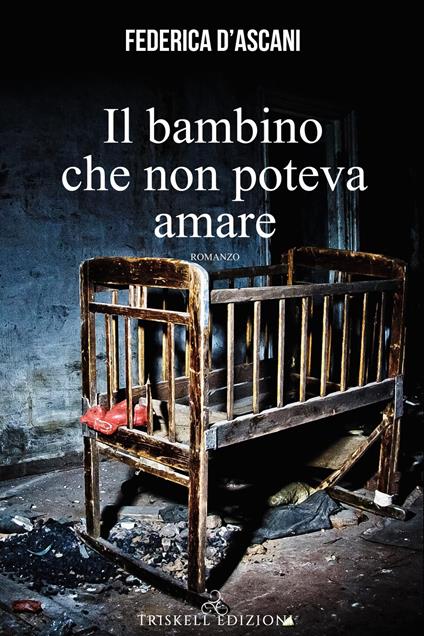 Il bambino che non poteva amare - Federica D'Ascani - copertina