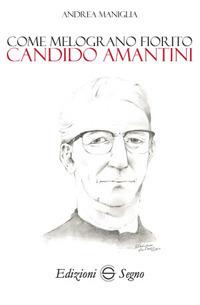 Come melograno fiorito. Candido Amantini - Andrea Maniglia - copertina