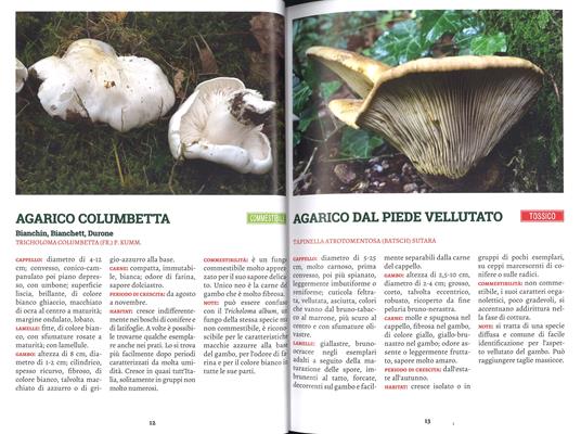 Andar per funghi. Cercarli, riconoscerli, cucinarli - 2