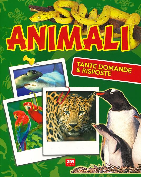 Animali. Tante domande e risposte. Ediz. a colori - copertina