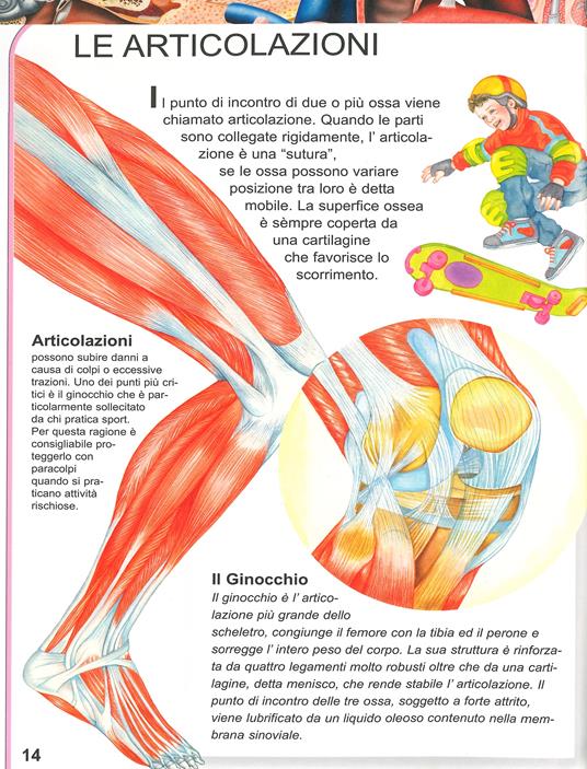 Il libro del corpo umano con domande & risposte - 2