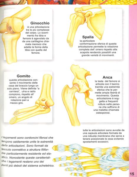 Il libro del corpo umano con domande & risposte - 3