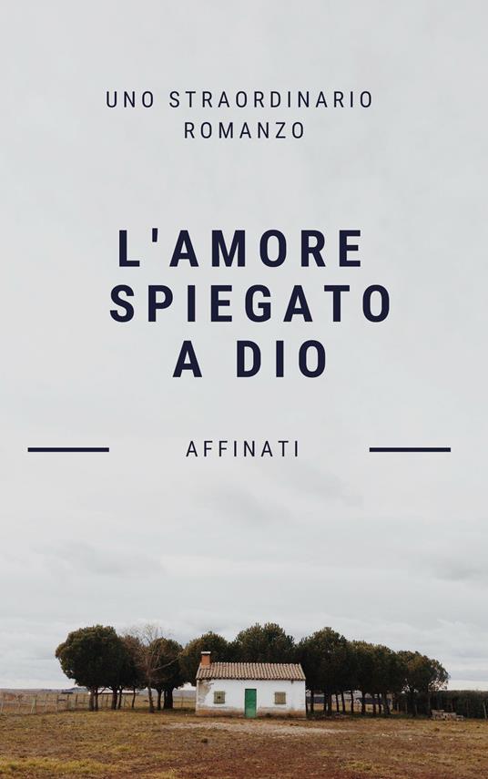 L' amore spiegato a Dio - Riccardo Affinati - copertina