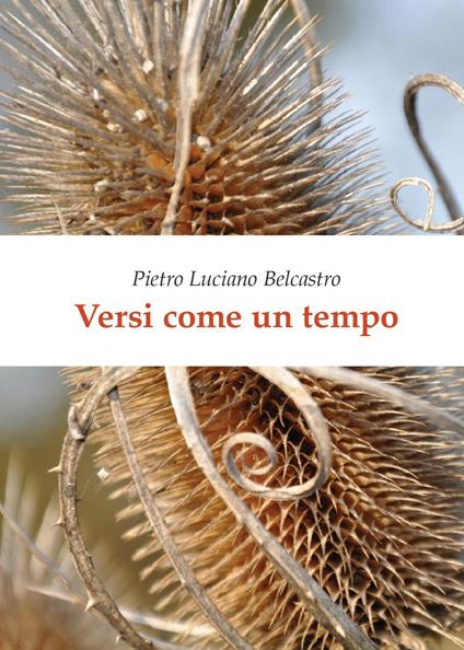 Versi come un tempo - Pietro Luciano Belcastro - copertina