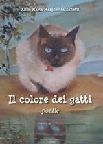 Il colore dei gatti