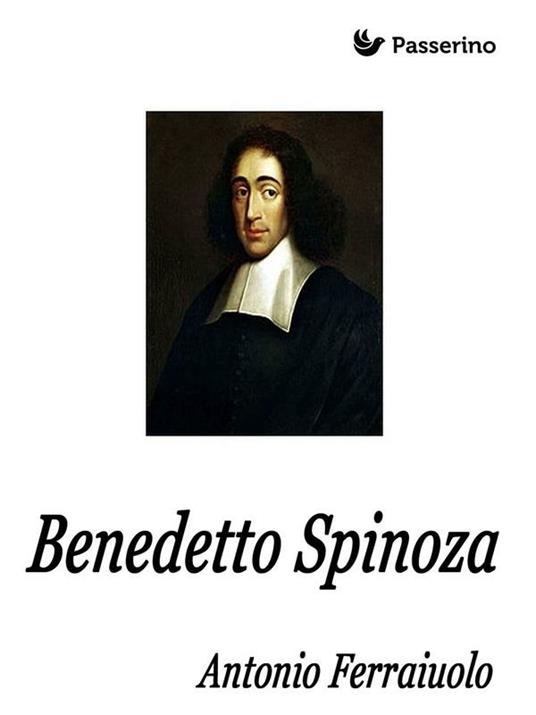 Benedetto Spinoza - Antonio Ferraiuolo - ebook