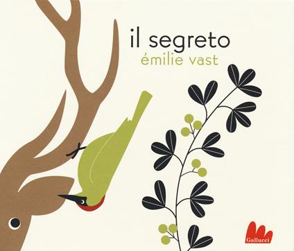 Il segreto. Ediz. illustrata - Émilie Vast - copertina