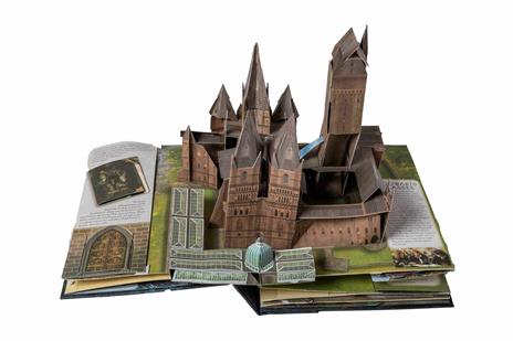 Harry Potter - Il Mondo Segreto - Il Libro Pop-up — Libro di Matthew  Reinhart