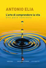 L' arte di comprendere la vita. Una pace nascosta