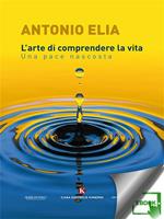 L' arte di comprendere la vita. Una pace nascosta